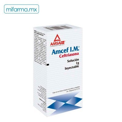 Amcef Ceftriaxona IM 1g AMSA
